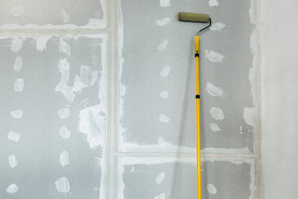 Professional Painting & Drywall Services in Laredo, TX